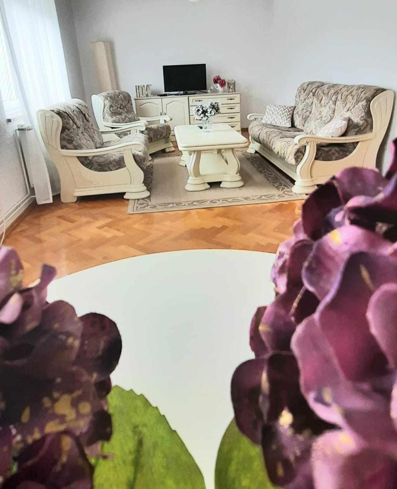 Dream Apartment โอโทชาส ภายนอก รูปภาพ
